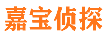 花山市私家侦探